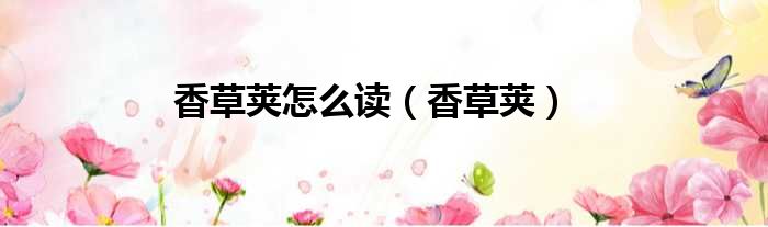 香草荚怎么读（香草荚）