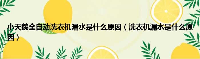 小天鹅全自动洗衣机漏水是什么原因（洗衣机漏水是什么原因）