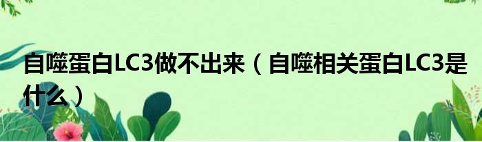 自噬蛋白LC3做不出来（自噬相关蛋白LC3是什么）