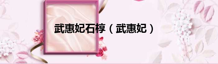 武惠妃石椁（武惠妃）
