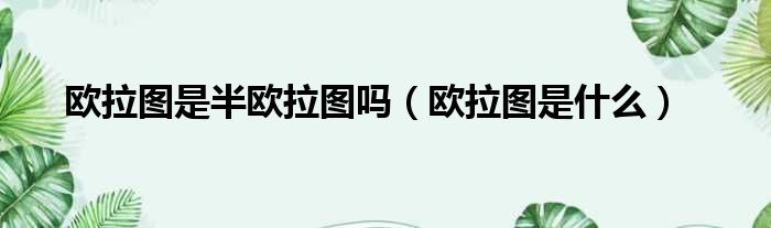欧拉图是半欧拉图吗（欧拉图是什么）