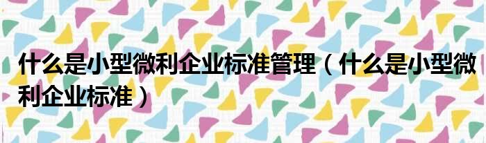 什么是小型微利企业标准管理（什么是小型微利企业标准）