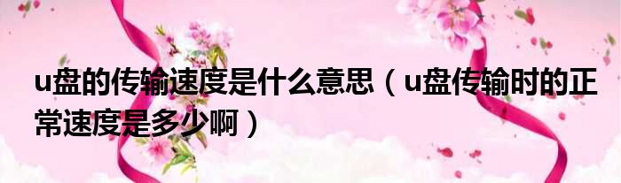 u盘的传输速度是什么意思（u盘传输时的正常速度是多少啊）