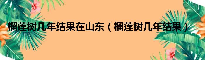 榴莲树几年结果在山东（榴莲树几年结果）