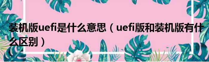 装机版uefi是什么意思（uefi版和装机版有什么区别）