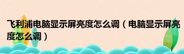 飞利浦电脑显示屏亮度怎么调（电脑显示屏亮度怎么调）