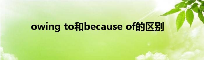 owing to和because of的区别
