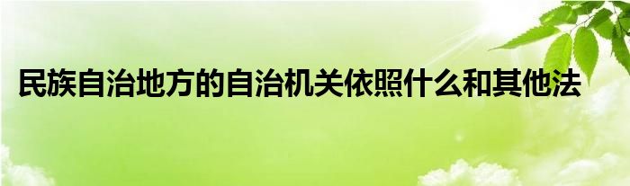 民族自治地方的自治机关依照什么和其他法