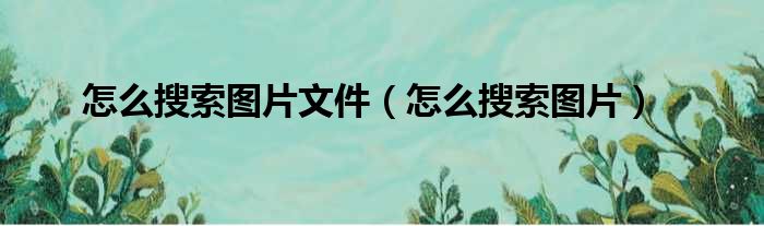 怎么搜索图片文件（怎么搜索图片）