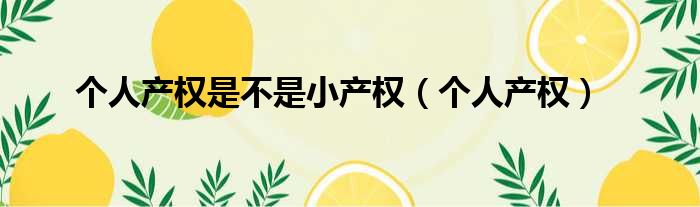 个人产权是不是小产权（个人产权）