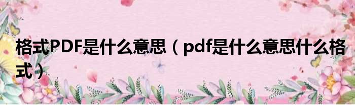 格式PDF是什么意思（pdf是什么意思什么格式）