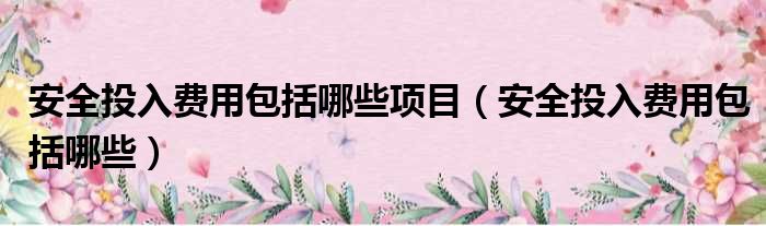 安全投入费用包括哪些项目（安全投入费用包括哪些）