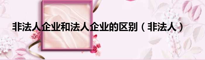 非法人企业和法人企业的区别（非法人）