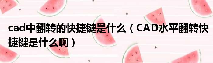 cad中翻转的快捷键是什么（CAD水平翻转快捷键是什么啊）
