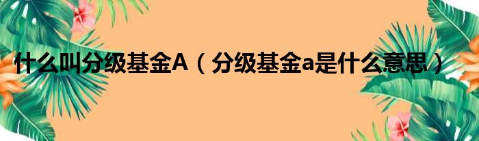 什么叫分级基金A（分级基金a是什么意思）