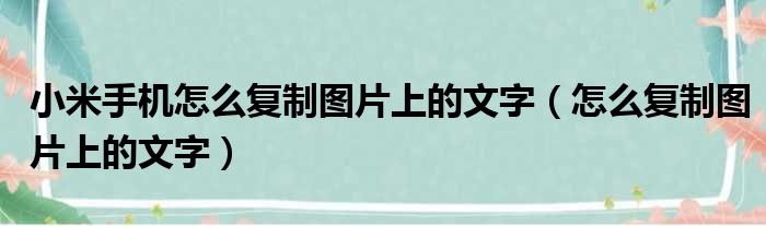 小米手机怎么复制图片上的文字（怎么复制图片上的文字）
