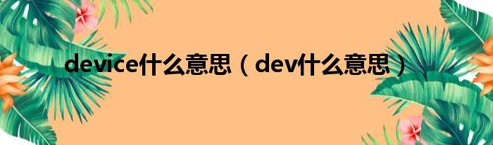 device什么意思（dev什么意思）