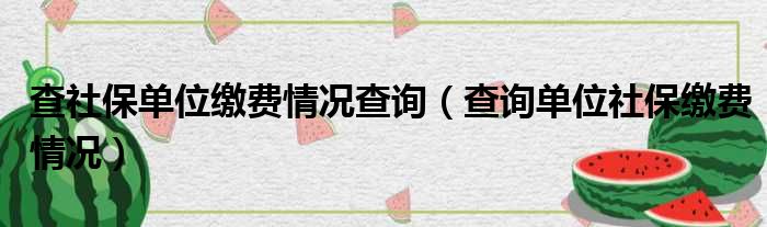查社保单位缴费情况查询（查询单位社保缴费情况）