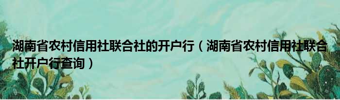 湖南省农村信用社联合社的开户行（湖南省农村信用社联合社开户行查询）