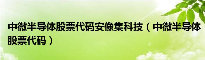 中微半导体股票代码安像集科技（中微半导体股票代码）