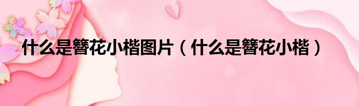 什么是簪花小楷图片（什么是簪花小楷）
