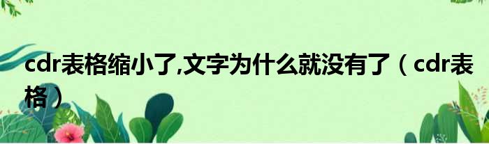 cdr表格缩小了,文字为什么就没有了（cdr表格）
