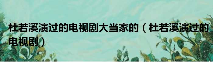 杜若溪演过的电视剧大当家的（杜若溪演过的电视剧）