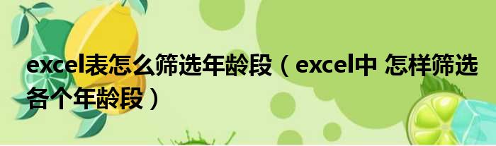 excel表怎么筛选年龄段（excel中 怎样筛选各个年龄段）