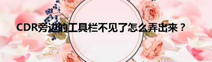 CDR旁边的工具栏不见了怎么弄出来？