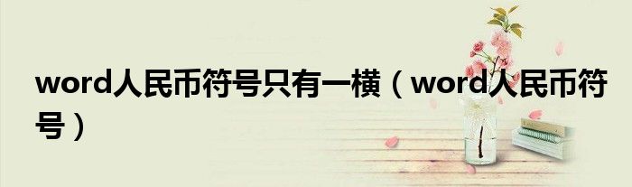 word人民币符号只有一横（word人民币符号）