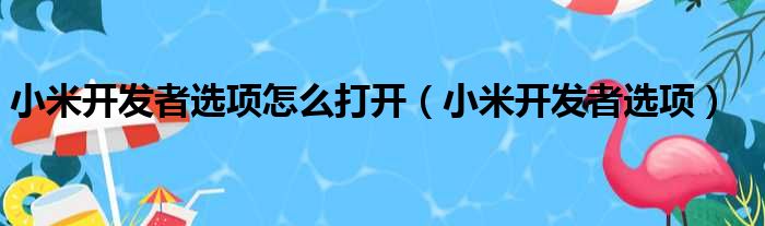 小米开发者选项怎么打开（小米开发者选项）