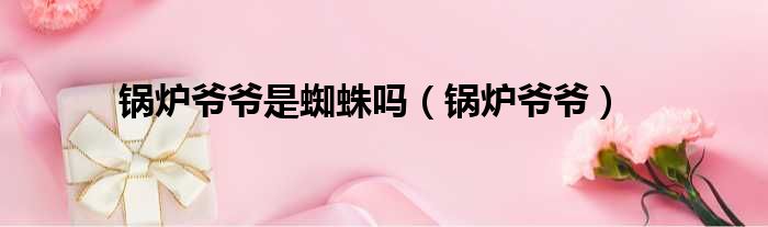 锅炉爷爷是蜘蛛吗（锅炉爷爷）