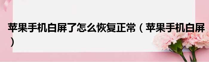 苹果手机白屏了怎么恢复正常（苹果手机白屏）