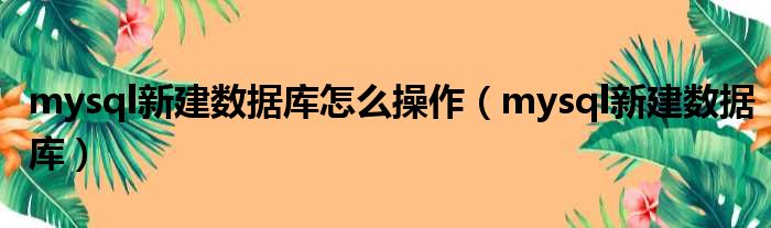 mysql新建数据库怎么操作（mysql新建数据库）