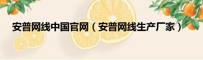 安普网线中国官网（安普网线生产厂家）