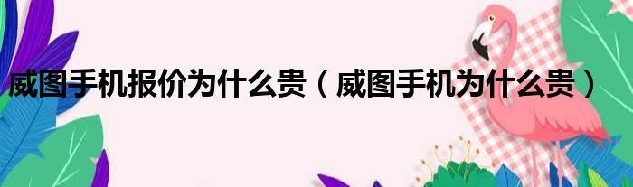 威图手机报价为什么贵（威图手机为什么贵）