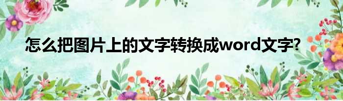 怎么把图片上的文字转换成word文字?