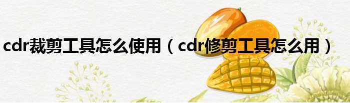 cdr裁剪工具怎么使用（cdr修剪工具怎么用）