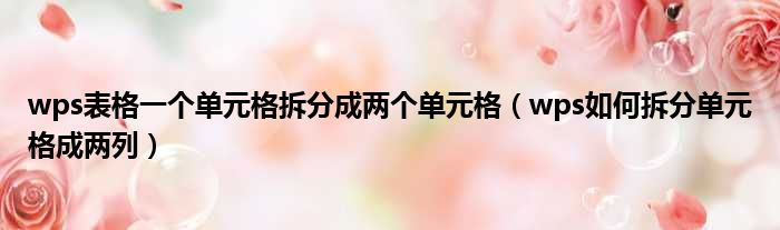 wps表格一个单元格拆分成两个单元格（wps如何拆分单元格成两列）