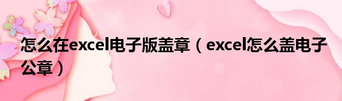 怎么在excel电子版盖章（excel怎么盖电子公章）