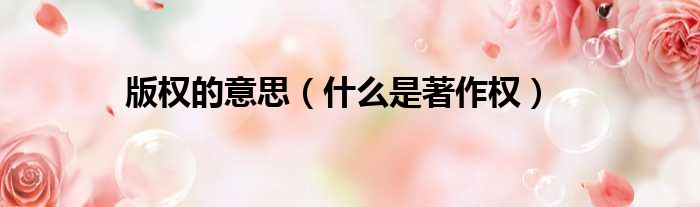 版权的意思（什么是著作权）
