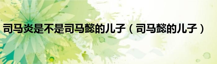 司马炎是不是司马懿的儿子（司马懿的儿子）