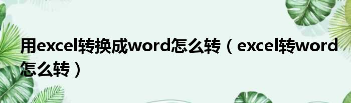 用excel转换成word怎么转（excel转word怎么转）