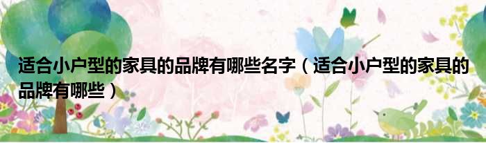 适合小户型的家具的品牌有哪些名字（适合小户型的家具的品牌有哪些）