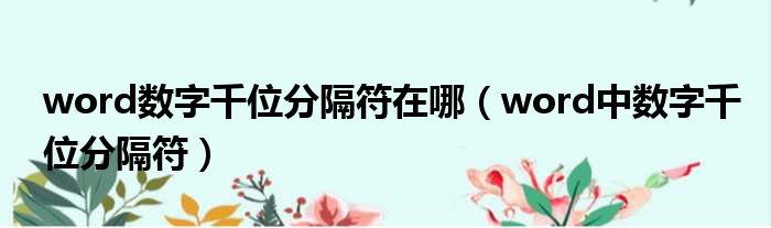 word数字千位分隔符在哪（word中数字千位分隔符）