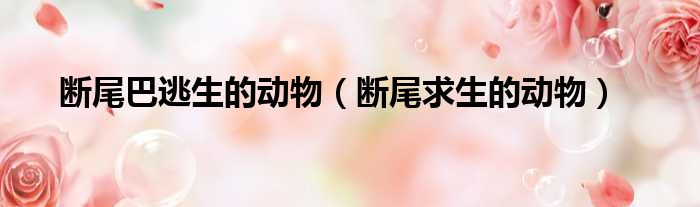 断尾巴逃生的动物（断尾求生的动物）