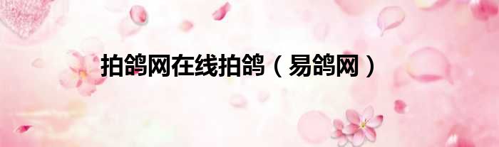 拍鸽网在线拍鸽（易鸽网）