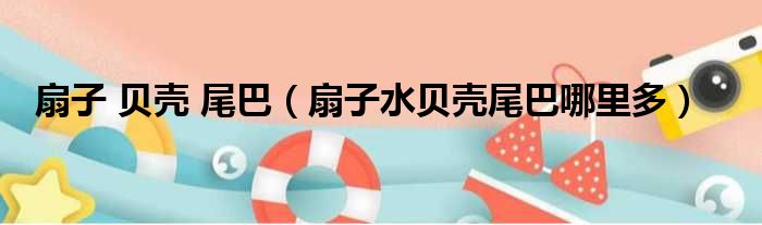 扇子 贝壳 尾巴（扇子水贝壳尾巴哪里多）