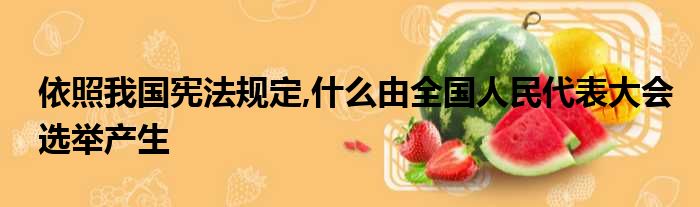 依照我国宪法规定,什么由全国人民代表大会选举产生
