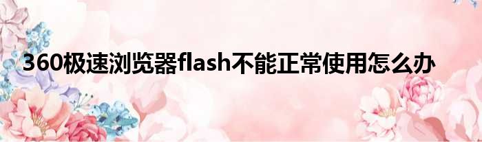 360极速浏览器flash不能正常使用怎么办